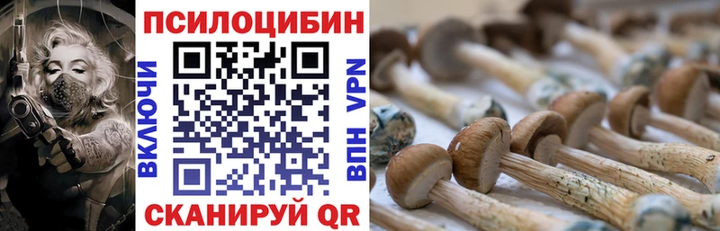Галлюциногенные грибы Cubensis  ссылка на мегу маркетплейс  Тында  купить наркотики цена 