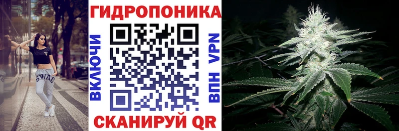 Бошки Шишки конопля  купить  сайты  Тында 